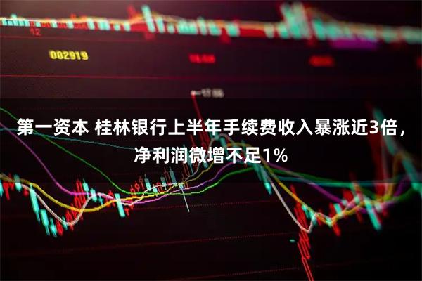 第一资本 桂林银行上半年手续费收入暴涨近3倍，净利润微增不足1%