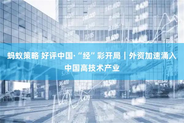 蚂蚁策略 好评中国·“经”彩开局｜外资加速涌入中国高技术产业